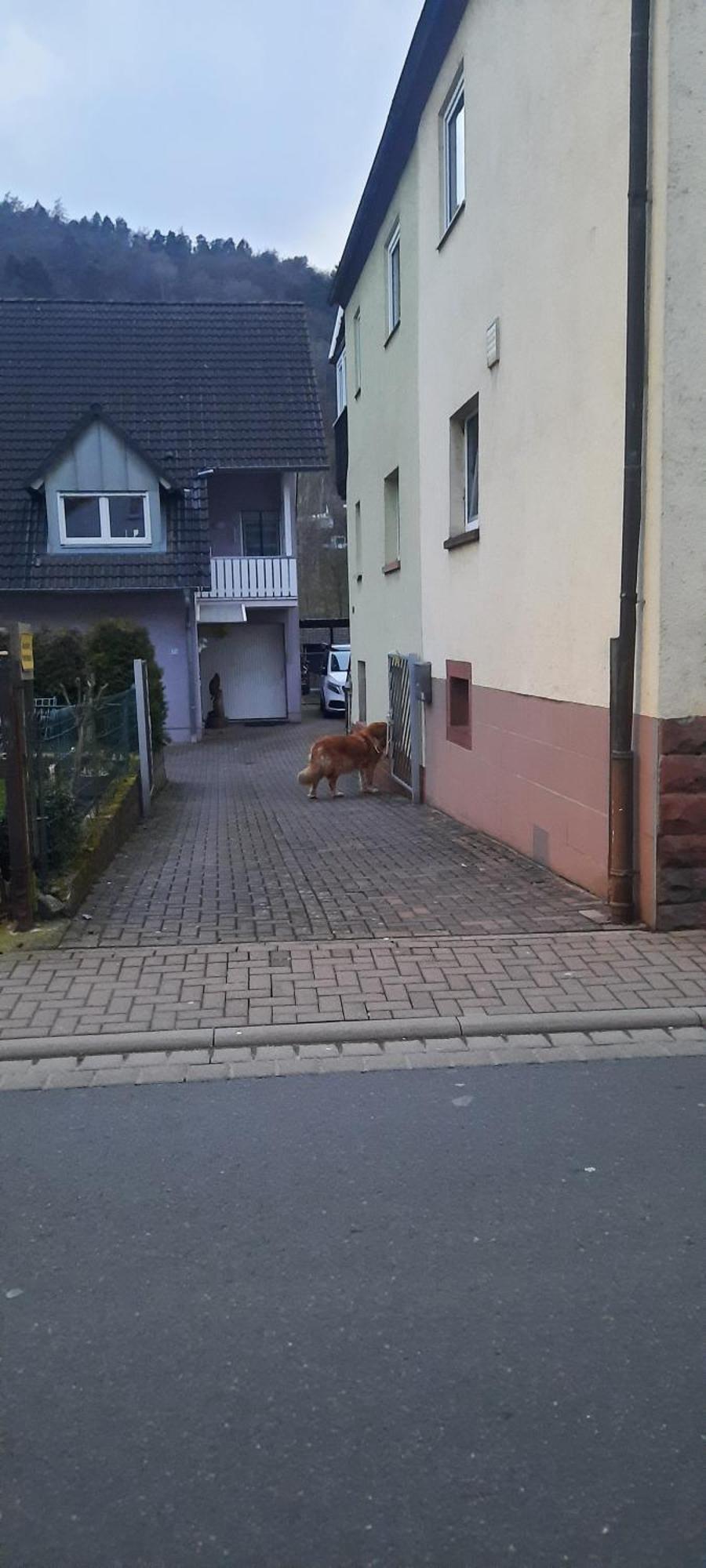 Main Zu Hause Villa Eichenbuhl  Exterior photo